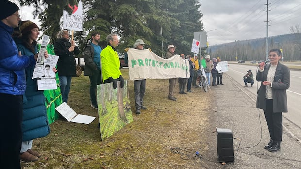 protests-held-province-wide-urging-forestry-reform,-targeting-bc.-timber-sales