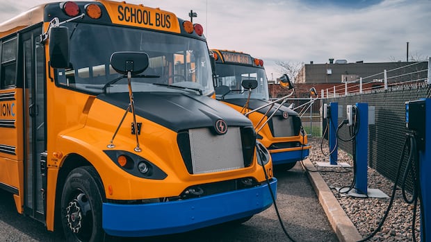 province-pauses-plans-to-buy-new-electric-school-buses-for-pei.’s-fleet-in-2026