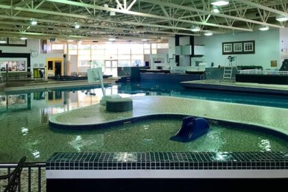 should-out-of-towners-pay-more-for-swimming-lessons?