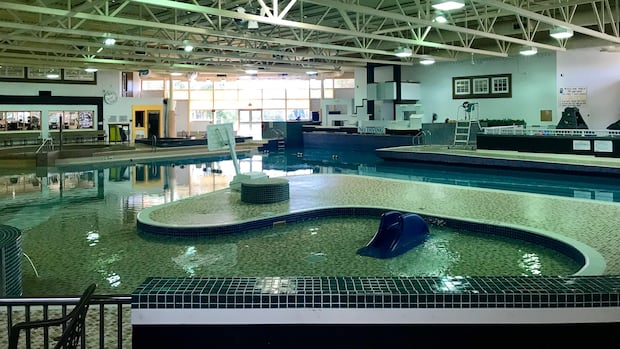 should-out-of-towners-pay-more-for-swimming-lessons?