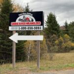 ns.-rafting-business-pleads-not-guilty-to-disturbing-humpback-whale