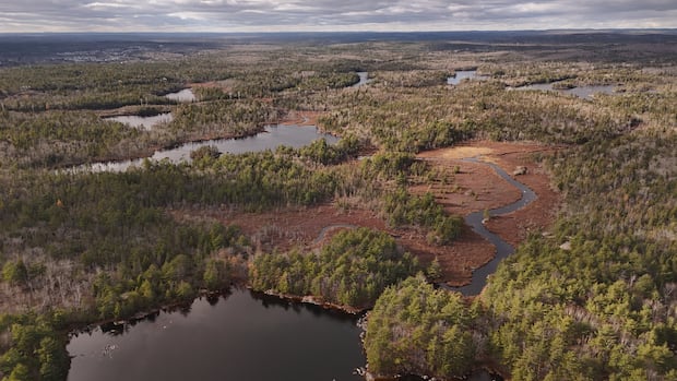 plans-for-halifax-area-development-off-highway-102-corridor-raise-concerns