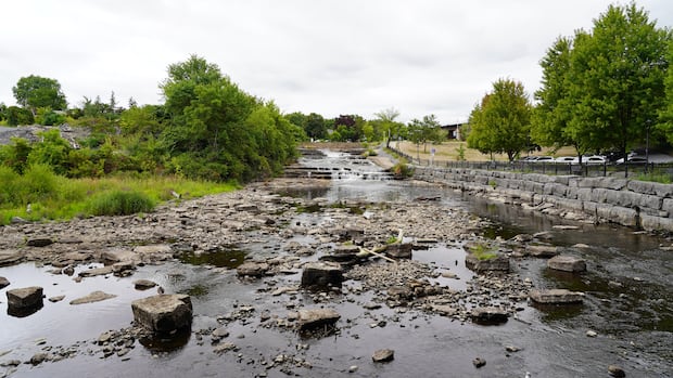 low-water-levels-in-kingston-area-see-improvement