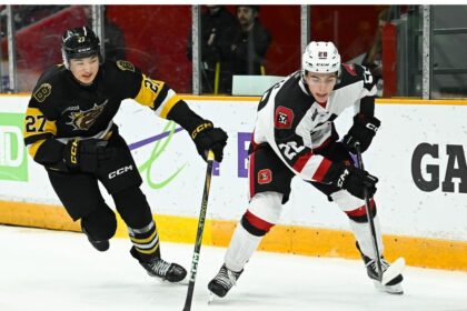 qmjhl:-cape-breton-eagles-land-19-year-old-ontario-forward,-add-two-americans-to-protected-list