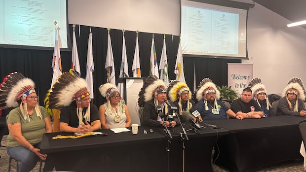 meadow-lake-tribal-council-urges-province-to-improve-public-safety-up-north