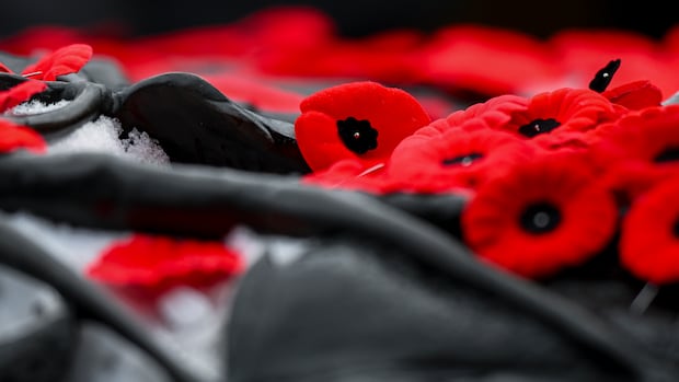 government-seeks-to-retroactively-change-law,-potentially-avoiding-paying-veterans-over-federal-error