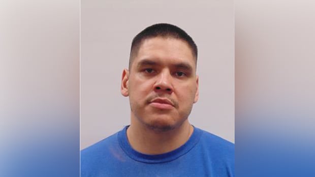 high-risk-sex-offender-released,-expected-to-live-in-winnipeg:-police