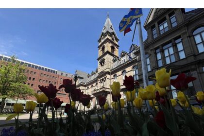 halifax-eyes-service-cuts,-increased-fees-to-drive-down-projected-10.5-per-cent-tax-hike