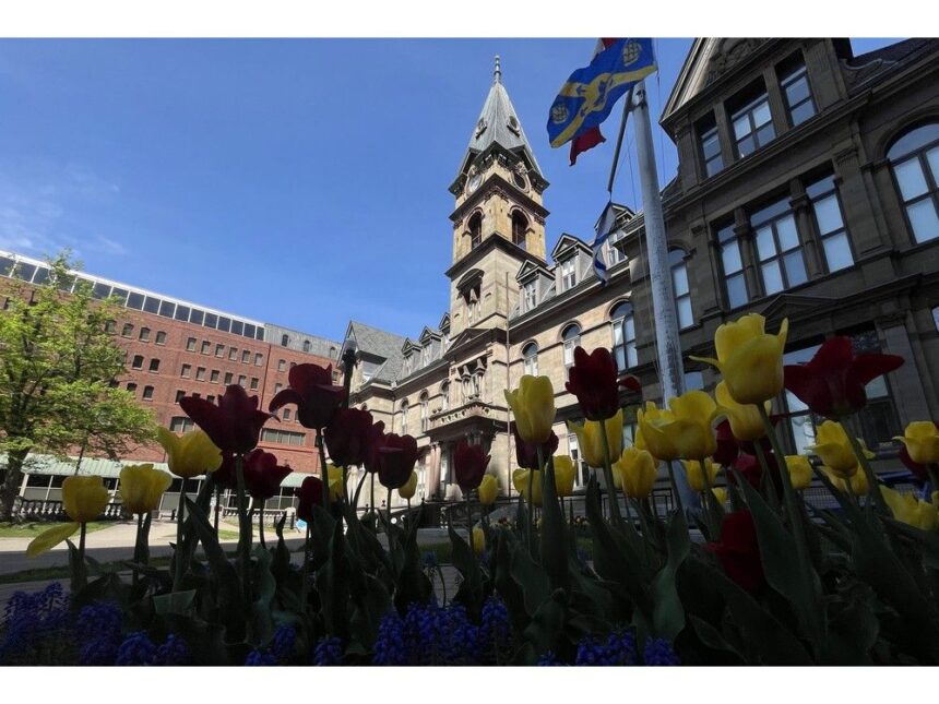 halifax-eyes-service-cuts,-increased-fees-to-drive-down-projected-10.5-per-cent-tax-hike
