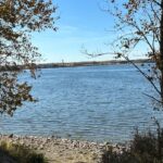 jury-examining-fatal-blastomycosis-outbreak-in-northern-ontario-first-nation-delivers-79-recommendations