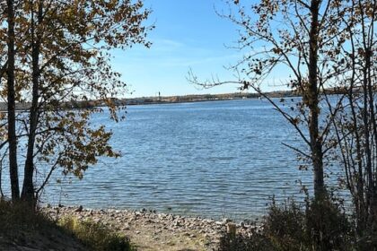 jury-examining-fatal-blastomycosis-outbreak-in-northern-ontario-first-nation-delivers-79-recommendations