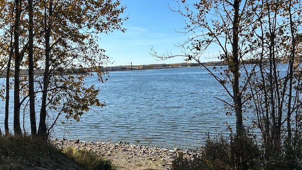 jury-examining-fatal-blastomycosis-outbreak-in-northern-ontario-first-nation-delivers-79-recommendations