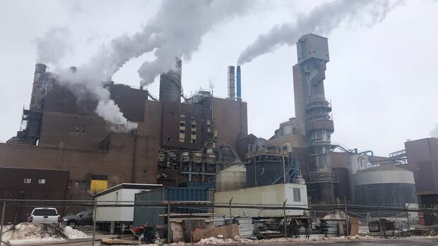 nova-scotia-government-to-bid-on-northern-pulp-assets