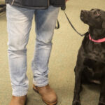 first-nations-in-nwt.-turn-to-private-k9-company-to-sniff-out-drugs,-alcohol