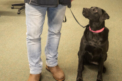 first-nations-in-nwt.-turn-to-private-k9-company-to-sniff-out-drugs,-alcohol