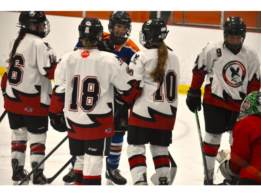 womens-hockey-has-taken-great-strides