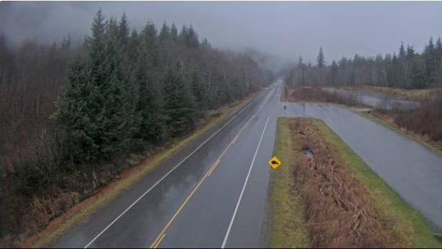 wet-weekend-expected-for-bc.’s-south-coast-as-rain,-snow-warnings-issued