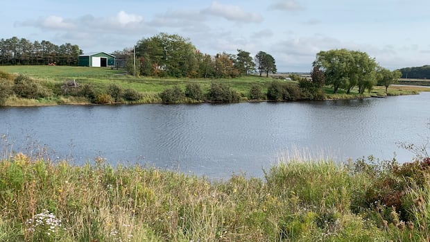 west-hants-didn’t-need-its-water-contingency-plan-this-year,-but-it-is-better-prepared-for-future-droughts