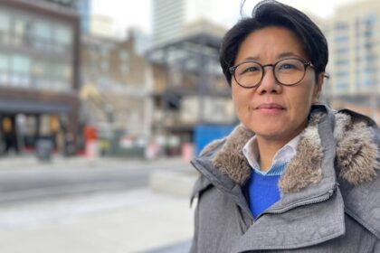 ontario-ndp-mpps-withdraw-from-intimate-partner-violence-committee-in-protest