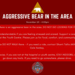 grizzly-bear-attacks-nuxalk-nation-students,-teachers-in-bc.