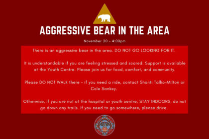 grizzly-bear-attacks-nuxalk-nation-students,-teachers-in-bc.