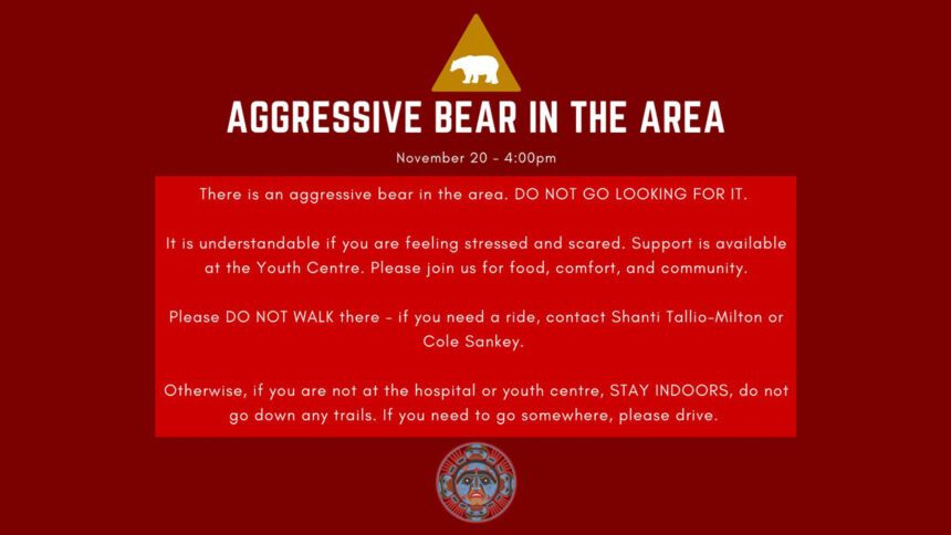 grizzly-bear-attacks-nuxalk-nation-students,-teachers-in-bc.