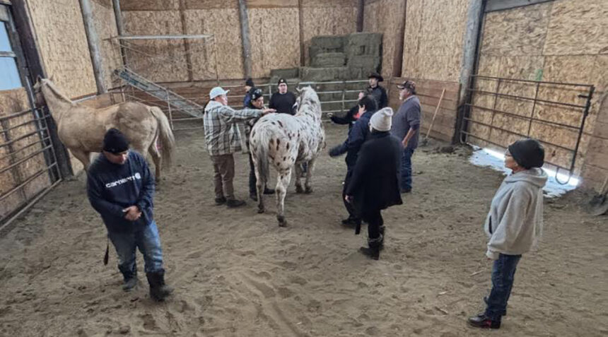 patrick-buffalo:-a-lifetime-of-healing,-horses,-and-the-fight-for-private-enterprise