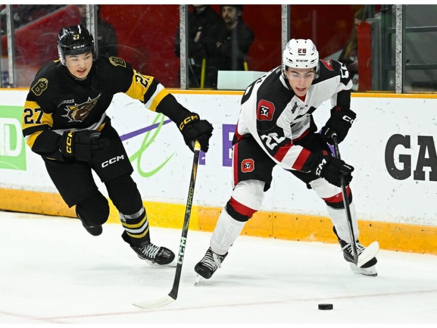 major-junior-hockey:-eagles-fall-to-phoenix