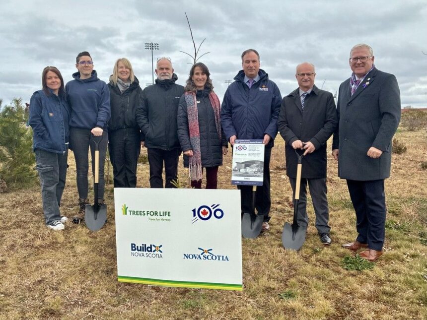 in-photo:-cape-breton-grove-honours-the-royal-canadian-air-force