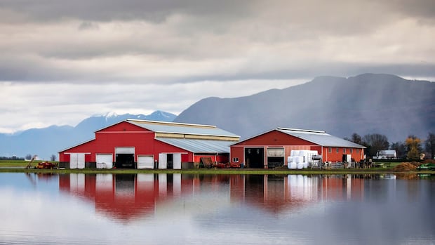 four-years-after-catastrophic-floods,-abbotsford,-bc.,-is-nearing-end-of-recovery-work