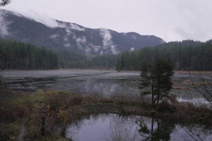 how-bc.-municipal-contributions-to-canadas-30×30-conservation-goal-are-adding-up