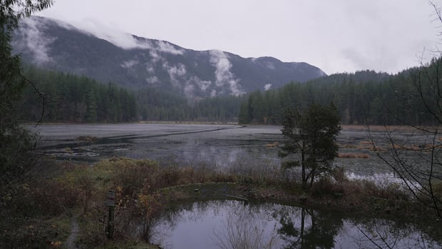 how-bc.-municipal-contributions-to-canadas-30×30-conservation-goal-are-adding-up