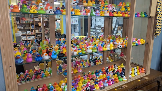 this-rubber-duck-museum-in-a-us-border-town-has-lost-business-now-it’s-moving-to-bc.