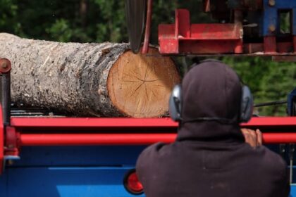 why-a-lack-of-access-to-timber-is-leading-to-bc.-mill-closures,-job-losses