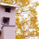 red-light-cameras:-is-there-a-better-way-to-slow-speeders-and-reduce-accidents-in-winnipeg?