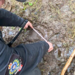 teams-work-through-the-night-in-search-of-bear-after-bc.-attack