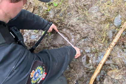 teams-work-through-the-night-in-search-of-bear-after-bc.-attack