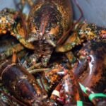 charges-against-alleged-clare-crime-group-important-to-integrity-of-lobster-fishery,-says-ns.-mp