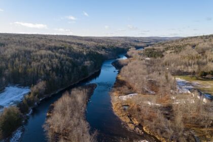 none-of-40-sisson-mine-conditions-met-so-far,-province-says