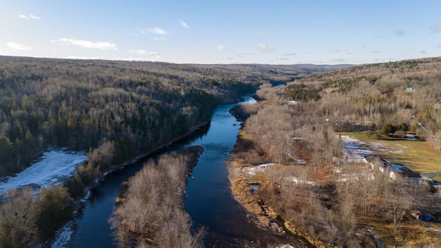 none-of-40-sisson-mine-conditions-met-so-far,-province-says