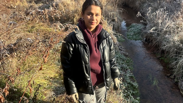 pei.-watershed-group-disappointed-by-volume-of-garbage-found-in-local-stream