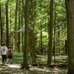 how-does-the-ford-government-really-feel-about-parks?