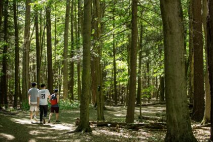 how-does-the-ford-government-really-feel-about-parks?