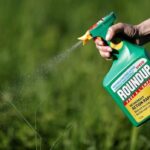 lheidli-t’enneh-first-nation-bans-herbicide-use-across-north-central-bc.