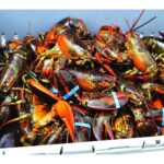 how-it-happened:-rcmp-accuse-‘crime-group’-of-dealing-in-cocaine,-lobster,-arson-and-threats-in-southwest-nova-scotia