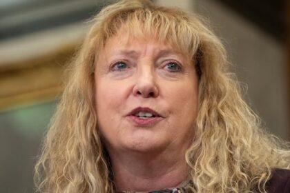 mps-recommend-criminalizing-coercive-control-to-combat-intimate-partner-violence