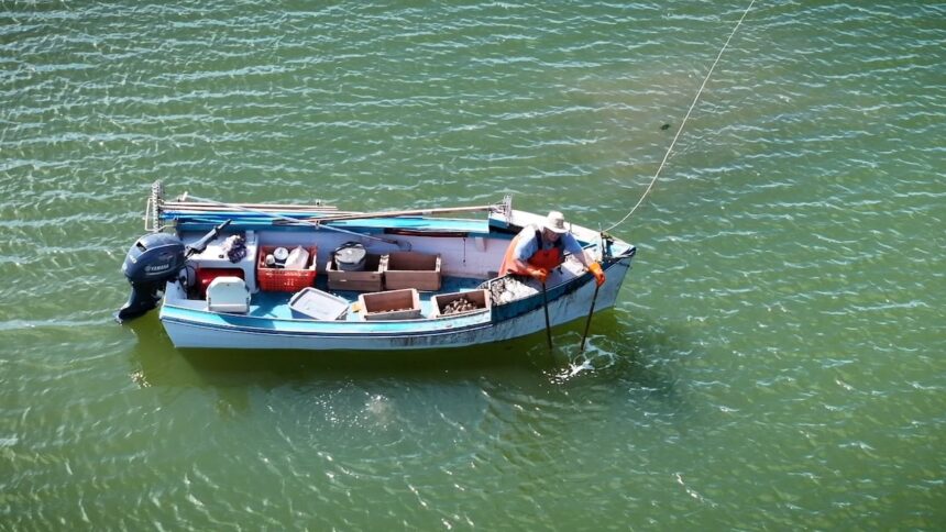 why-some-in-pei.s-struggling-wild-oyster-industry-say-governments-retraining-subsidies-dont-fit-their-reality