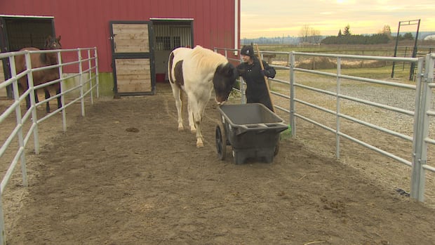 saskspca-worries-proposed-enforcement-changes-could-put-animal-welfare-at-risk