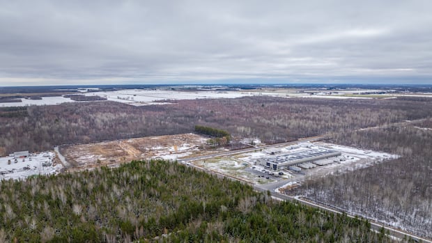 as-dump-vote-looms,-here’s-where-some-ottawa-city-councillors-stand