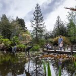 vancouver-park-board-hikes-fees-amid-pressure-to-meet-sims-budget-plan